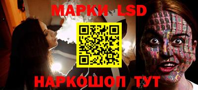 шишки Заводоуковск