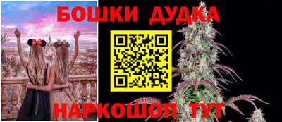 a pvp Заволжье