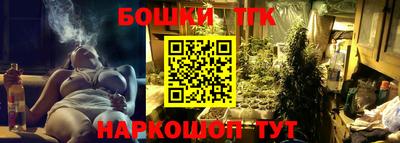 шишки Заводоуковск