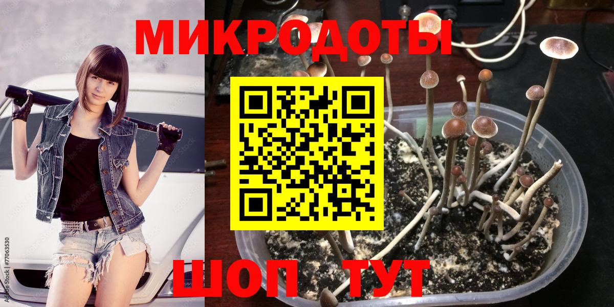 Псилоцибиновые грибы Psilocybine cubensis  Псилоцибиновые грибы Cubensis  где купить наркоту  Лосино-Петровский  Вход с VPN 