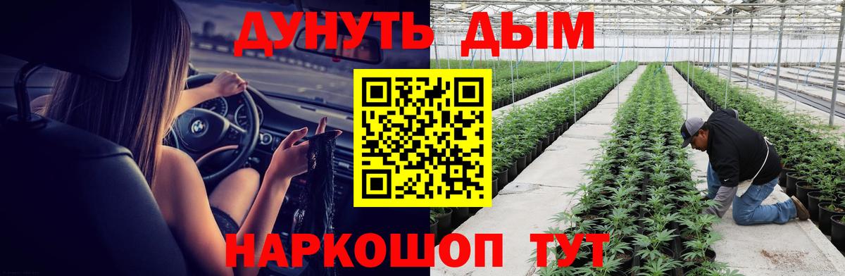Бошки марихуана индика  Вход с VPN  Лосино-Петровский  Конопля план 